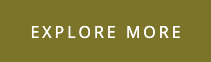 explore more