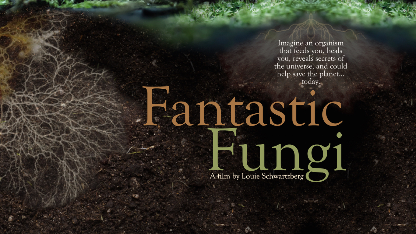Fantastic Fungi A film by Louie Schwartzberg on Mycelial Connection